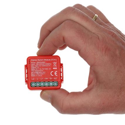 Smart-Schalter SmartLife 230 V