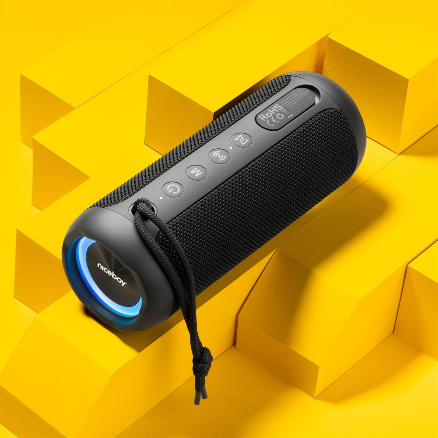 Niceboy Polaris - LED kabelloser Lautsprecher mit Mikrofon 30W/2000 mAh IPX7 schwarz