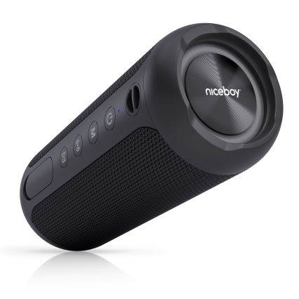 Niceboy Polaris - LED kabelloser Lautsprecher mit Mikrofon 30W/2000 mAh IPX7 schwarz