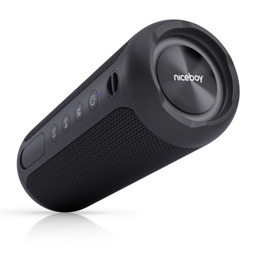 Niceboy Polaris - LED kabelloser Lautsprecher mit Mikrofon 30W/2000 mAh IPX7 schwarz
