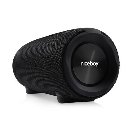 Niceboy Titan 4 - LED kabelloser Lautsprecher mit Mikrofon und Powerbank-Funktion 50W/4000 mAh IPX7 Schwarz