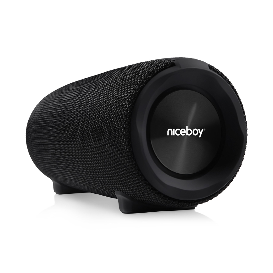 Niceboy Titan 4 - LED kabelloser Lautsprecher mit Mikrofon und Powerbank-Funktion 50W/4000 mAh IPX7 Schwarz