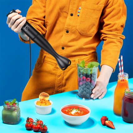 Niceboy Twister T1 - Stabmixer 500W/230V schwarz