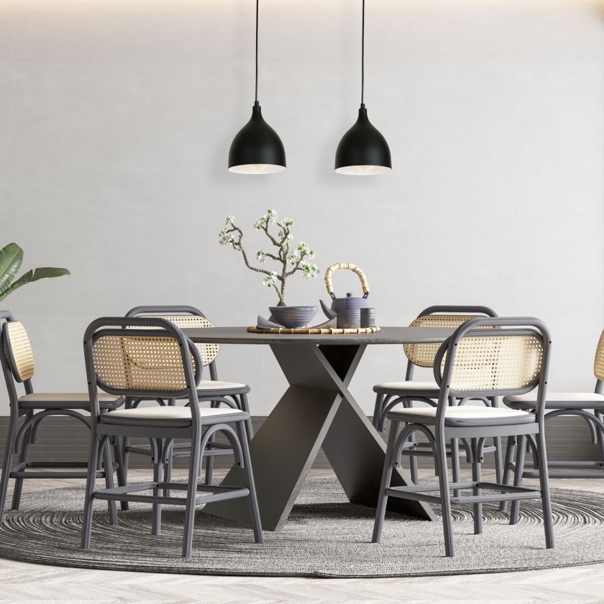 Deckenleuchte an Kabel NOAK 2xE27/15W/230V schwarz