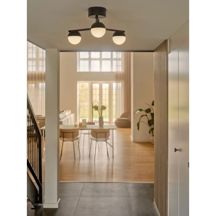 Nordlux - Anbauleuchte CONTINA 3xG9/5W/230V schwarz