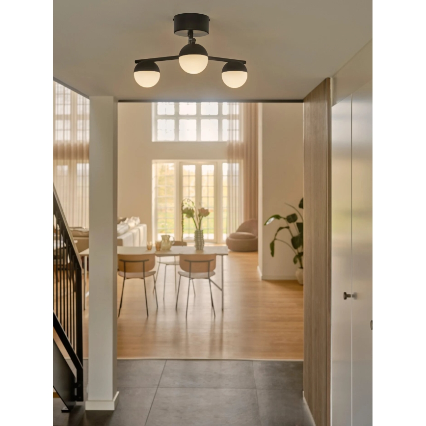 Nordlux - Anbauleuchte CONTINA 3xG9/5W/230V schwarz