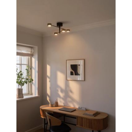 Nordlux - LED aufgesetzte Deckenleuchte CLYDE 4xLED/4W/230V