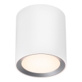 Nordlux - LED-dimmbarer Badezimmerspot LANDON LED/6,5W/230V IP44 weiß