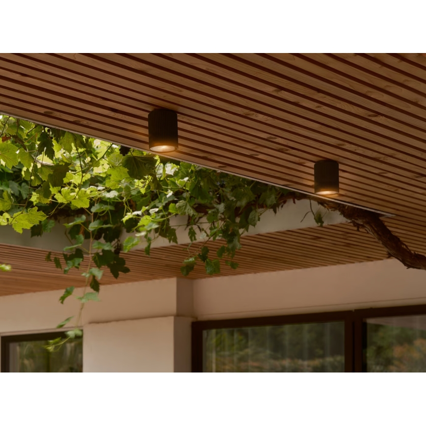 Nordlux - Outdoor-Deckenleuchte KYKLOP 1xGU10/15W/230V IP54 schwarz