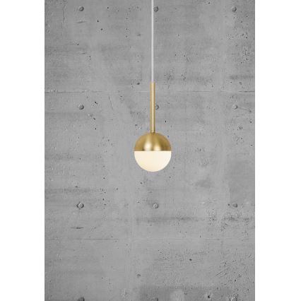 Nordlux - Pendelleuchte CONTINA mit Kabel 1xG9/5W/230V Messing