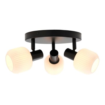 Nordlux - Spotleuchte MILFORD 3xE14/25W/230V