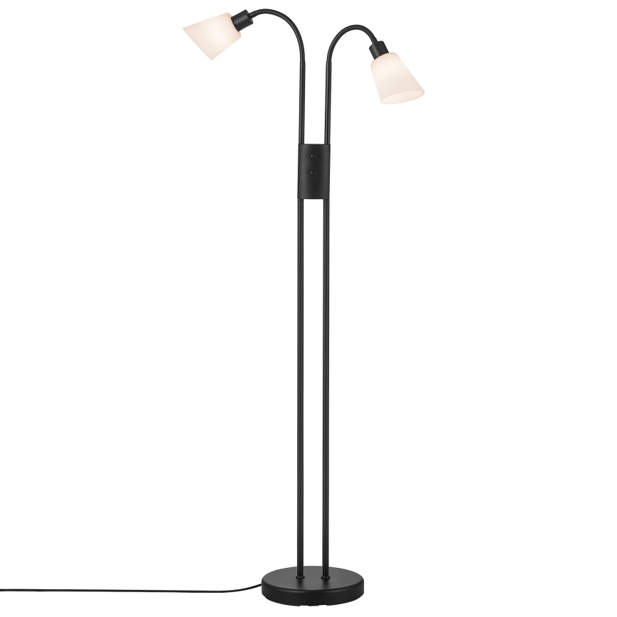 Nordlux - Stehleuchte MOLLI 2xE14/25W/230V
