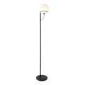 Nordlux - Stehleuchte WILSON 1xG9/5W/230V schwarz