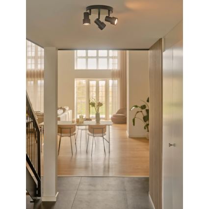 Nordlux - Strahler BOSTON 3xGU10/5W/230V