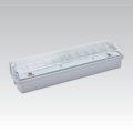 Notfall-Leuchte CARLA LED LED/5,51W/230V IP65