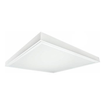 Oberflächenmontierbares LED-Panel ILLY LED/36W/230V