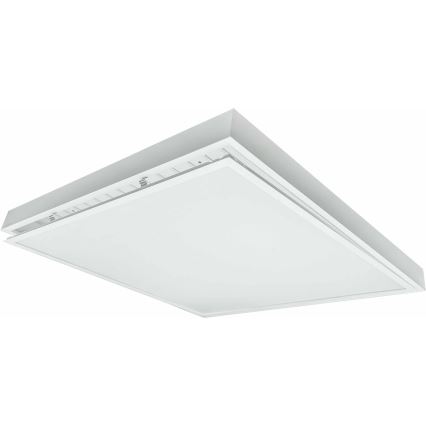 Oberflächenmontierbares LED-Panel ILLY LED/42W/230V