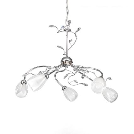 ONLI - Hängeleuchte an Kette SHARON 5xE14/6W/230V
