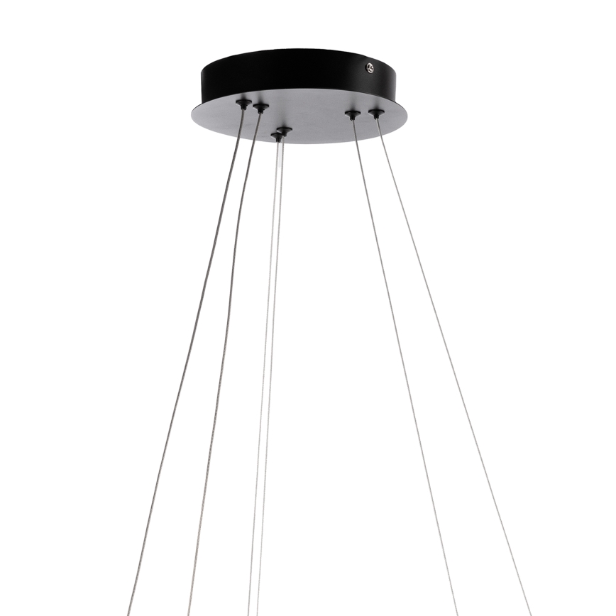 ONLI - LED-Hängeleuchte mit Kabelaufhängung NOELIA LED/30W/230V schwarz