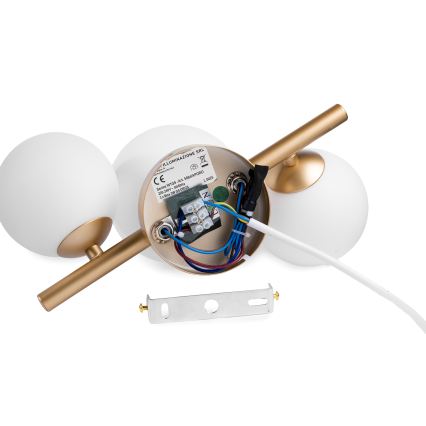 ONLI - Wandleuchte PALOMA 3xG9/10W/230V golden