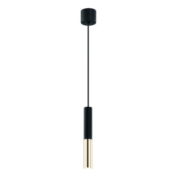 Open Design OR80810 - SLIMI Pendelleuchte mit Kabelaufhängung 1xG9/3,5W/230V schwarz/gold