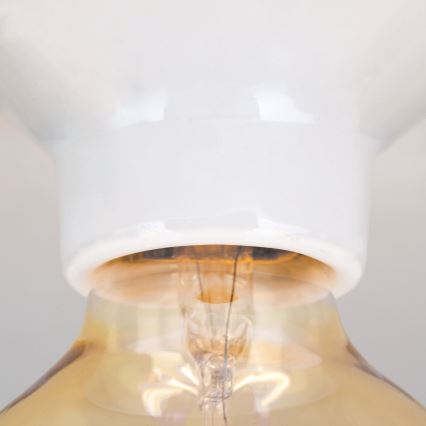 Deckenleuchte FROST 1xE27/60W/230V weiß