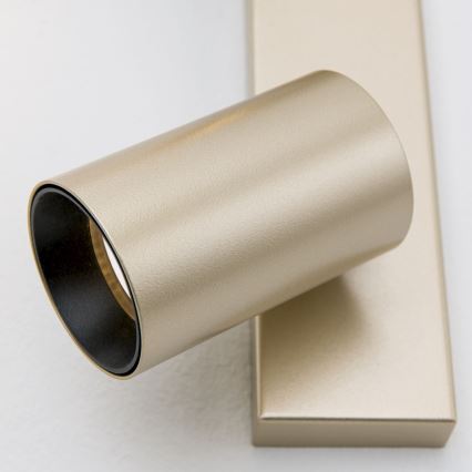 Deckenspot SEAN 2xGU10/13W/230V goldfarben