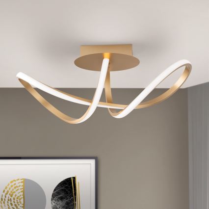 Dimmbare LED-Anbauleuchte CIRCUS LED/30W/230V golden