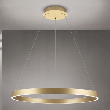 Orion - dimmbare LED-Hängeleuchte an Kabel KOLK LED/80W/230V 2700/3000/4000K Ø 80 cm goldfarben