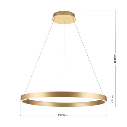 dimmbare LED-Hängeleuchte an Kabel KOLK LED/80W/230V 2700/3000/4000K Ø 80 cm goldfarben