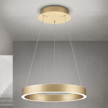 Orion - Dimmbare LED-Pendelleuchte an Kabel KOLK LED/40W/230V 2700/3000/4000K Ø 40 cm goldfarben
