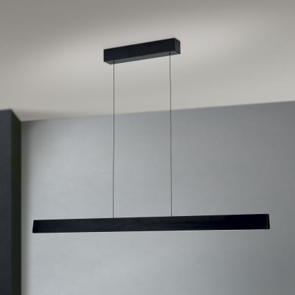 LED dimmbare Hängeleuchte an Seil TARA LED/44W/230V 2700/3800/4500/5700K schwarz