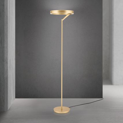 LED-dimmbare Stehleuchte KOLK LED/40W/230V 2700/4000K goldfarben