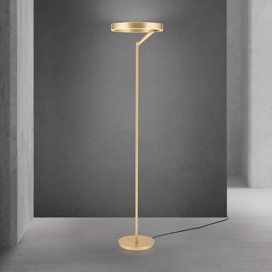 LED-dimmbare Stehleuchte KOLK LED/40W/230V 2700/4000K goldfarben