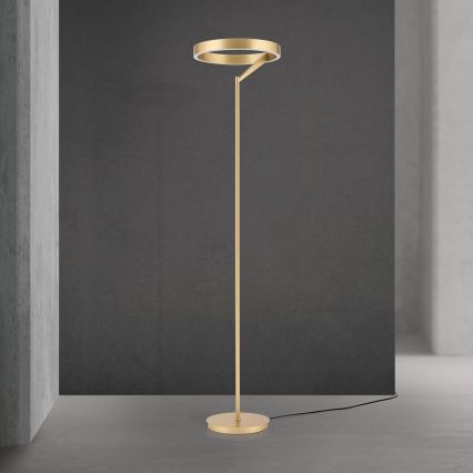 LED-dimmbare Stehleuchte KOLK LED/40W/230V 2700/4000K goldfarben