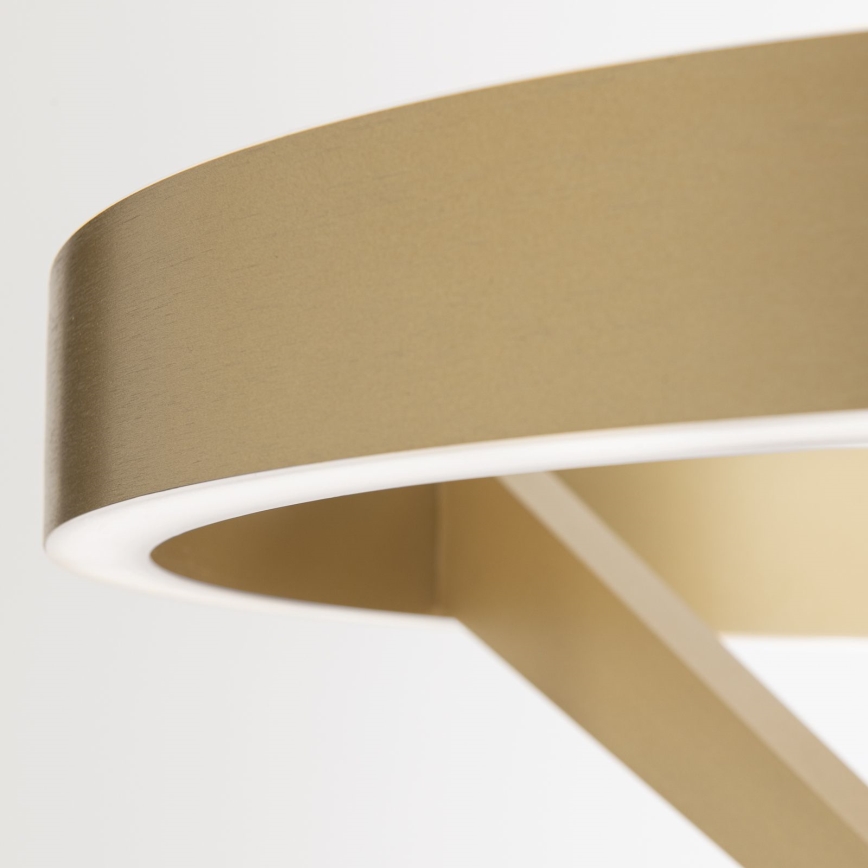 LED-dimmbare Stehleuchte KOLK LED/40W/230V 2700/4000K goldfarben