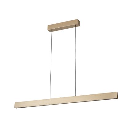 LED dimmbare Hängeleuchte an Seil TARA LED/44W/230V 2700/3800/4500/5700K gold