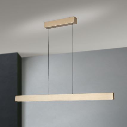 LED dimmbare Hängeleuchte an Seil TARA LED/44W/230V 2700/3800/4500/5700K gold