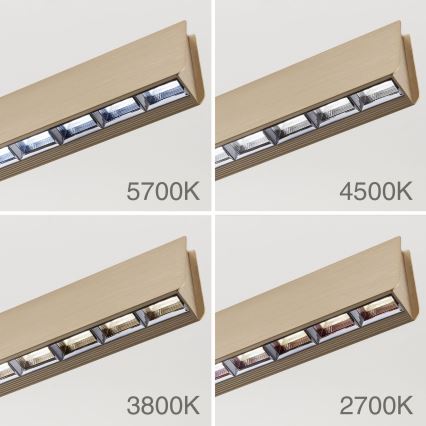 LED dimmbare Hängeleuchte an Seil TARA LED/44W/230V 2700/3800/4500/5700K gold