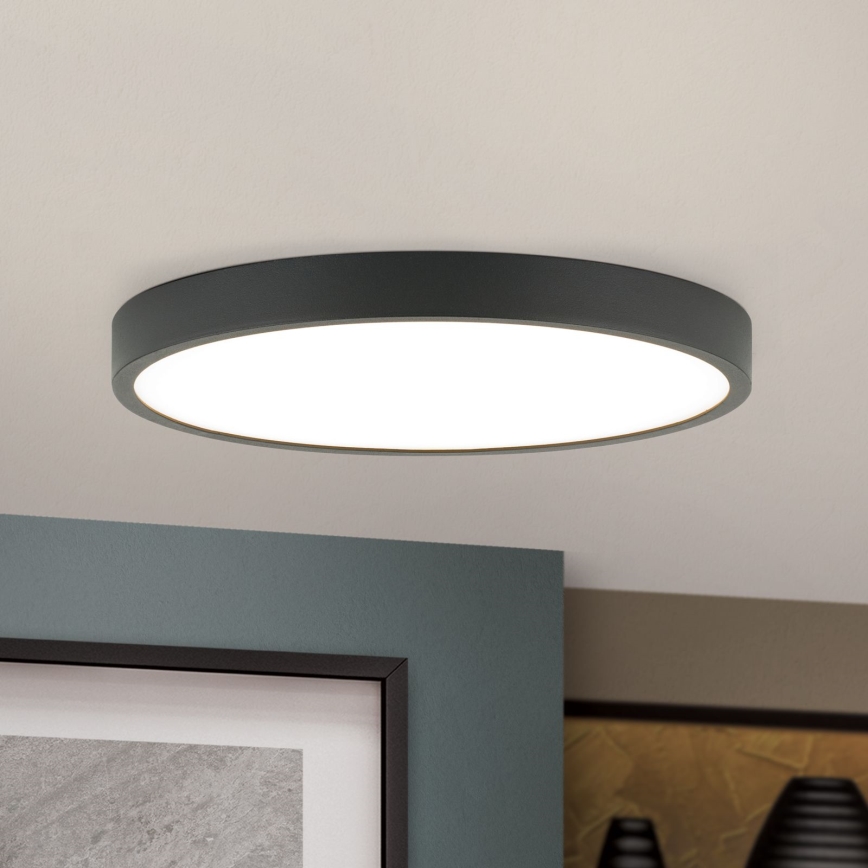 LED-Deckenleuchte BULLY LED/24W/230V d 24 cm schwarz