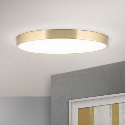 LED-Deckenleuchte BULLY LED/28W/230V d 28 cm golden