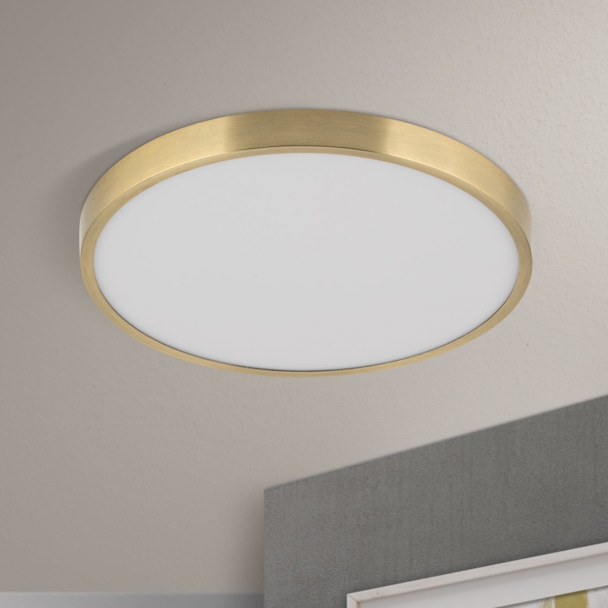 LED-Deckenleuchte BULLY LED/28W/230V d 28 cm golden