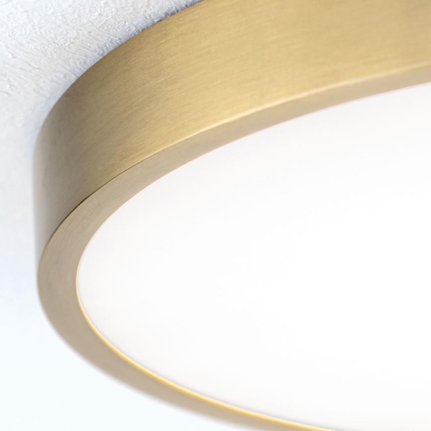 LED-Deckenleuchte BULLY LED/28W/230V d 28 cm golden