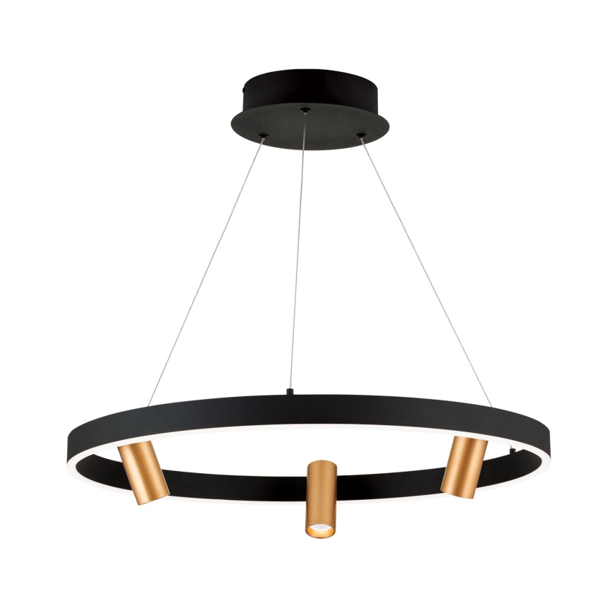Dimmbare LED-Hängeleuchte BERLIN LED/50W/230V schwarz/golden