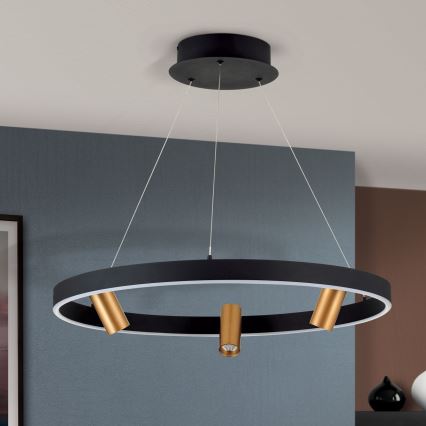 Dimmbare LED-Hängeleuchte BERLIN LED/50W/230V schwarz/golden