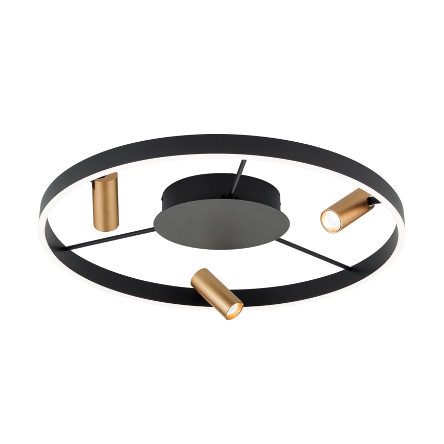 LED Dimmbares Deckenleuchte BERLIN LED/50W/230V schwarz/gold