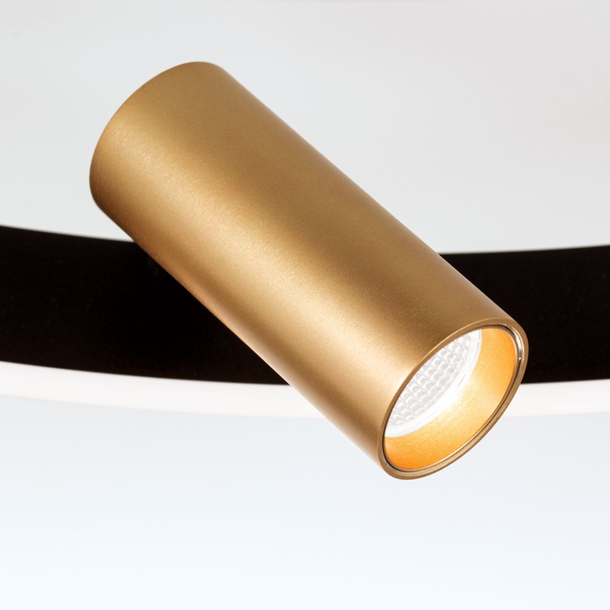 LED Dimmbares Deckenleuchte BERLIN LED/50W/230V schwarz/gold