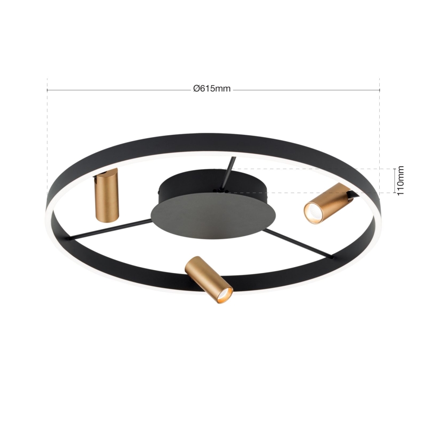 LED Dimmbares Deckenleuchte BERLIN LED/50W/230V schwarz/gold
