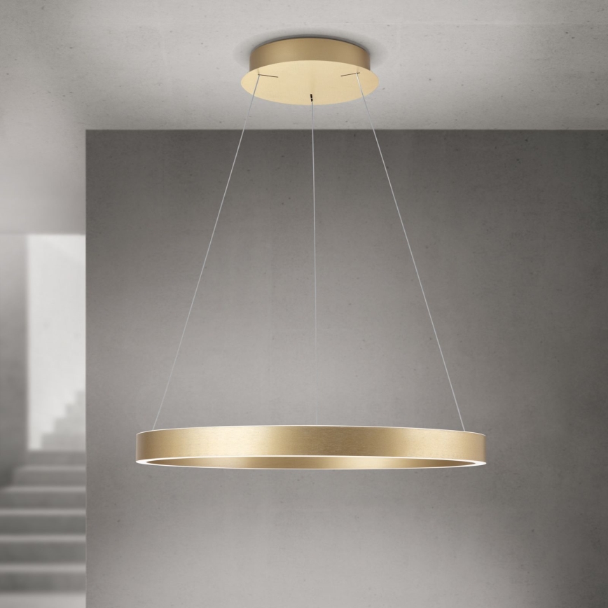 Orion - Dimmbare LED-Pendelleuchte an Seil KOLK LED/60W/230V 2700/3000/4000K Ø 60 cm gold