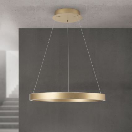 Orion - Dimmbare LED-Pendelleuchte an Seil KOLK LED/60W/230V 2700/3000/4000K Ø 60 cm gold